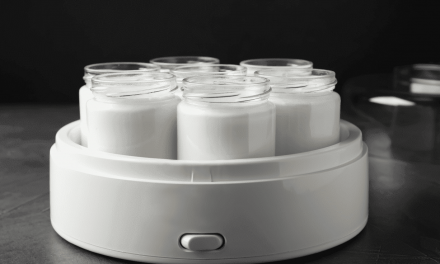 Les yaourtières pour les amateurs de yaourts faits maison en garnitures de salades de légumes.