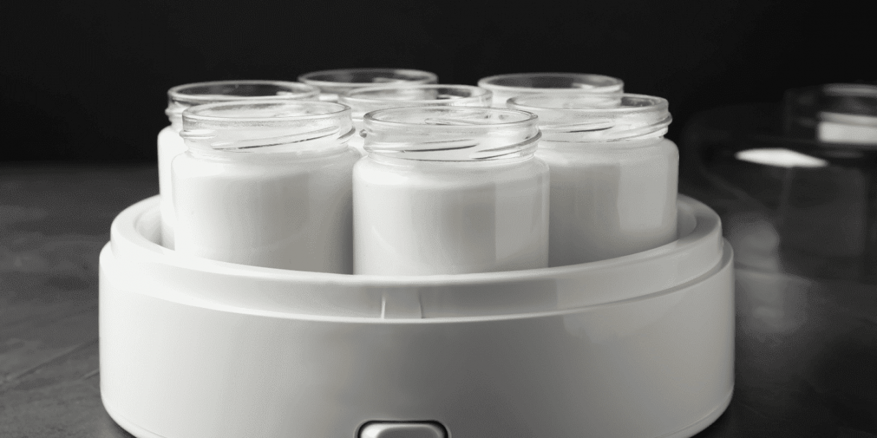 Les yaourtières pour les amateurs de yaourts faits maison en garnitures de burritos.