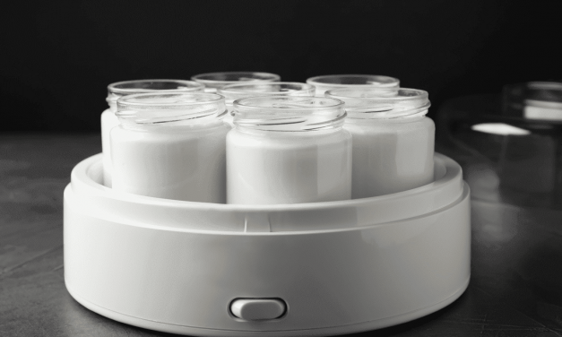 Comment choisir la meilleure yaourtière en fonction de vos besoins.